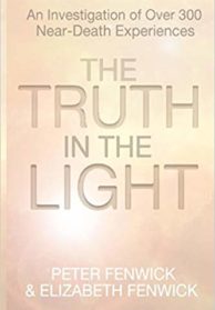 The Truth in the Light Book Cover