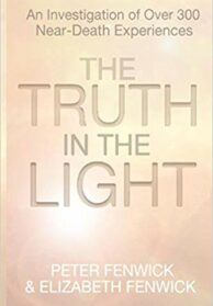 The Truth in the Light Book Cover